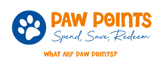What Are Paw Points?