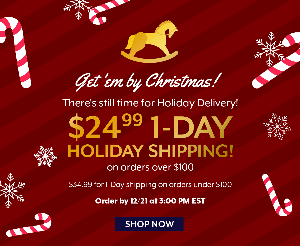 If you order by 3:00 PM EST today you can get guaranteed delivery by Christmas for only $24.99.