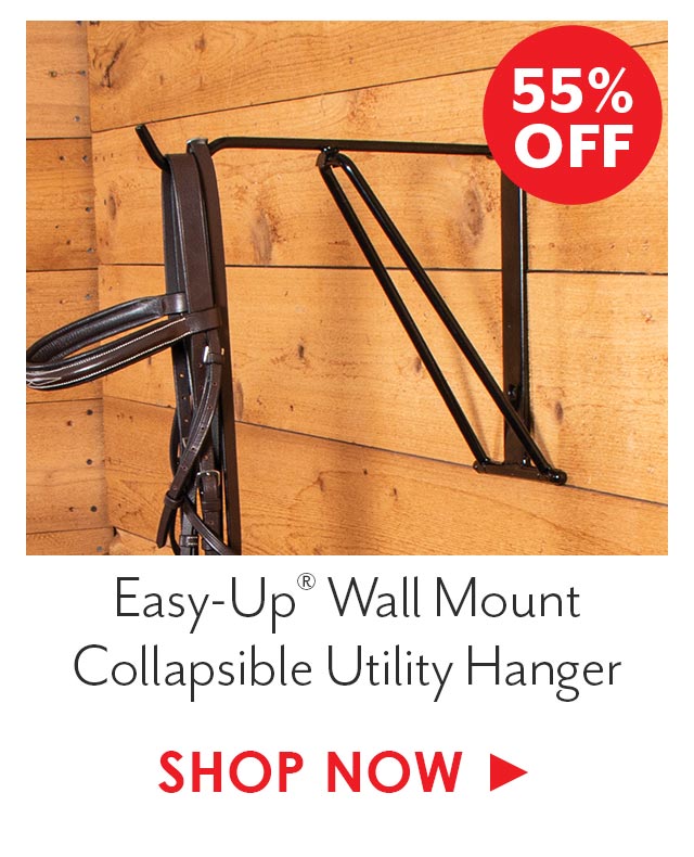 Easy-Up? Wall Mount Collapsible Utility Hanger
