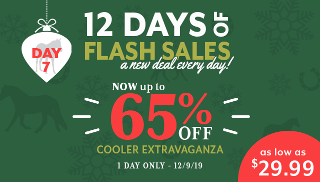 12 Days of Flash Sales: Day 7 up to 65% off Coolers.