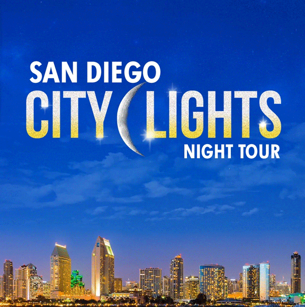 San Diego City Lights