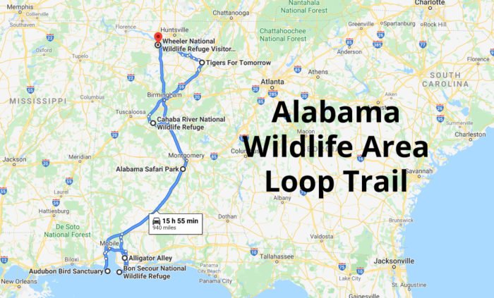 Discover 7 Of Alabama''s Best Wildlife Areas While On This Loop Trail