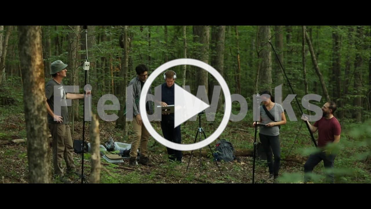 Field Works - Ultrasonic (Album Trailer)