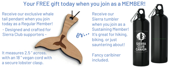 A gift when you become a member