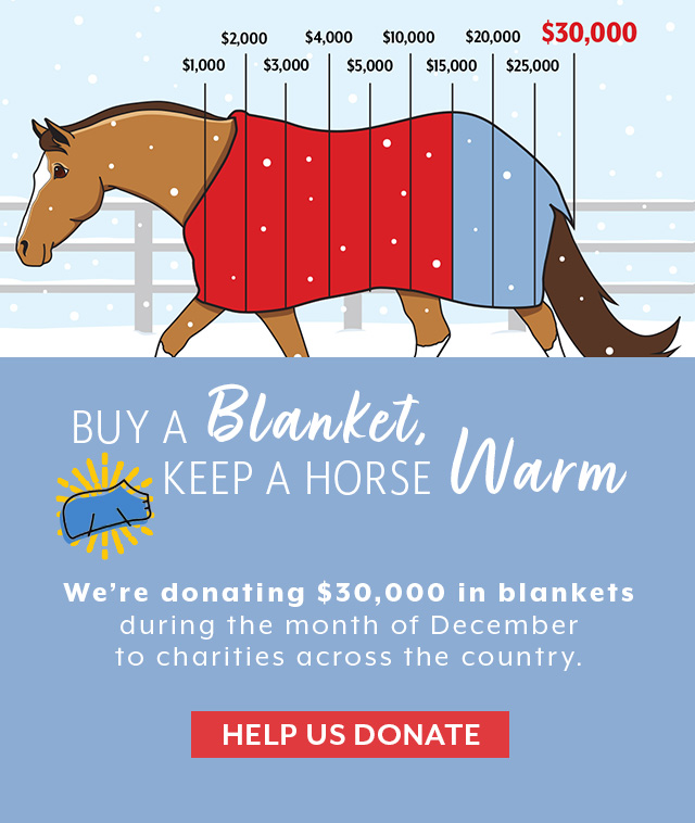 Help us donate $30,000 in blankets to horse charities across the country!