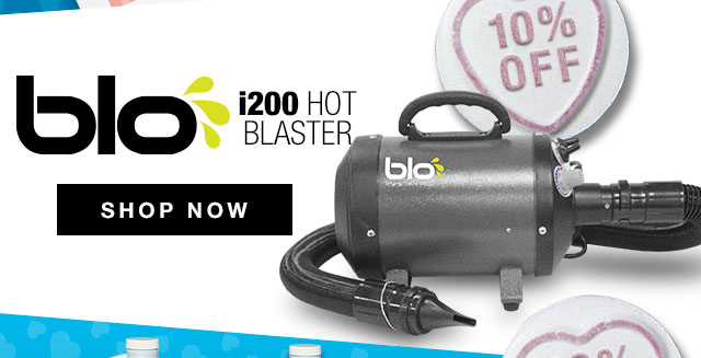 10% Off blo i200 Hot Blaster