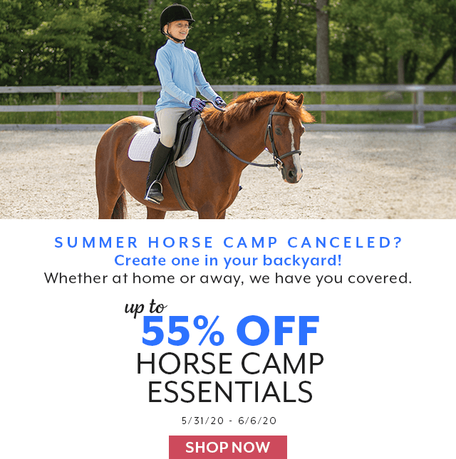 Horse camp canceled? Want to create one at home?