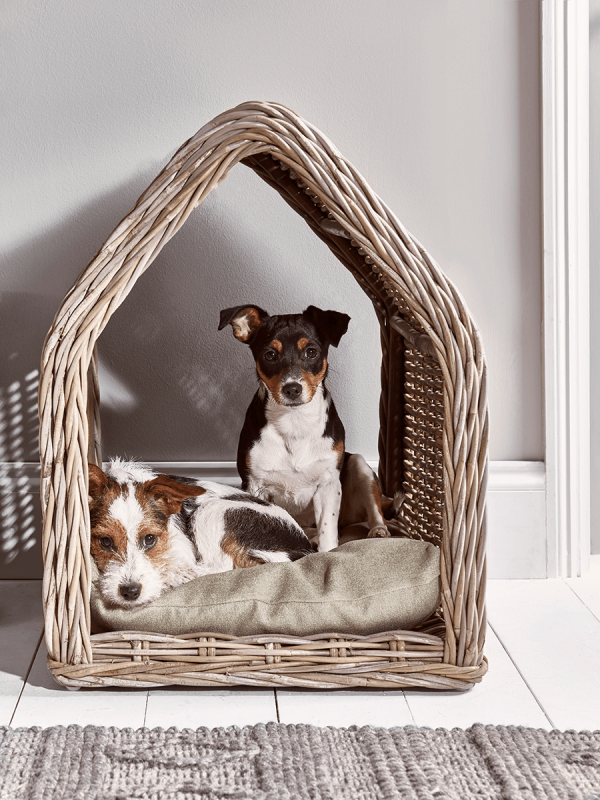 Rattan Pet House - Small