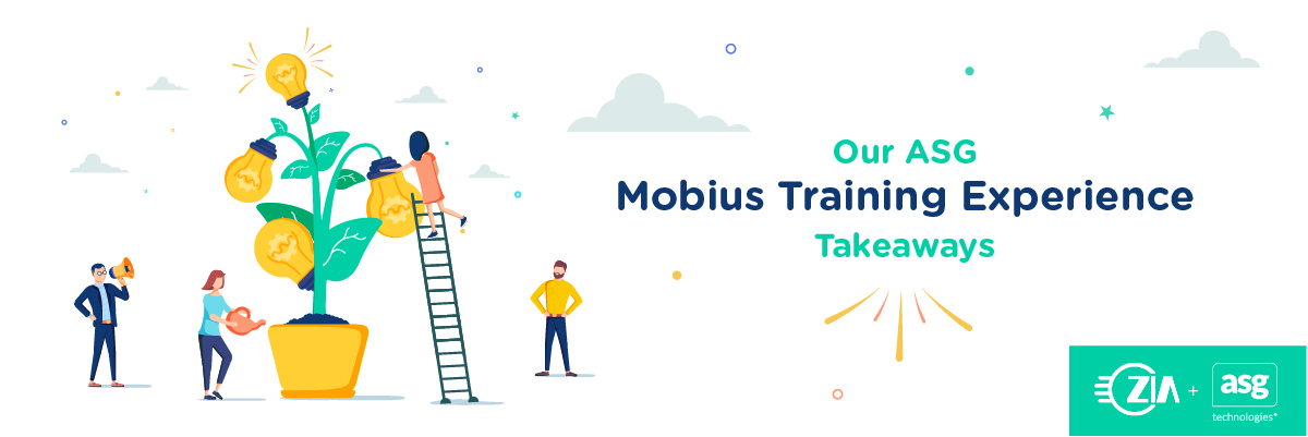 Mobius Training