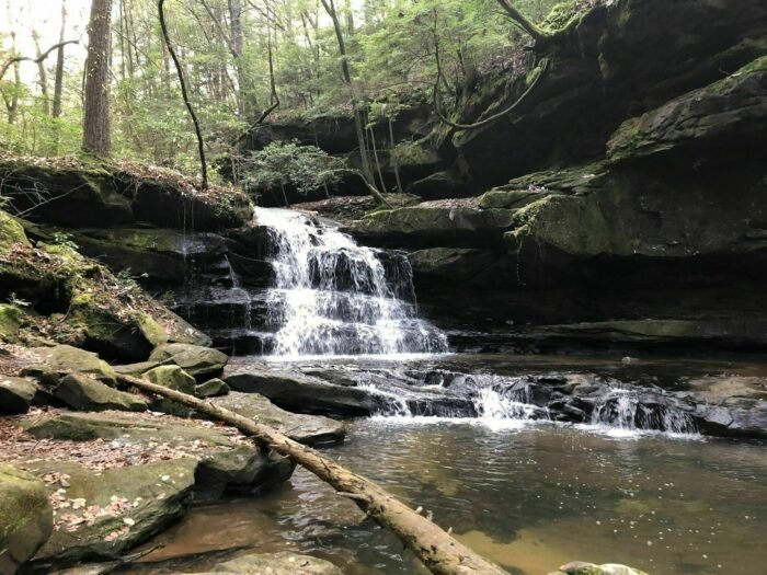 9 Scenic Alabama Trails To Add To Your Hiking To-Do List For 2021