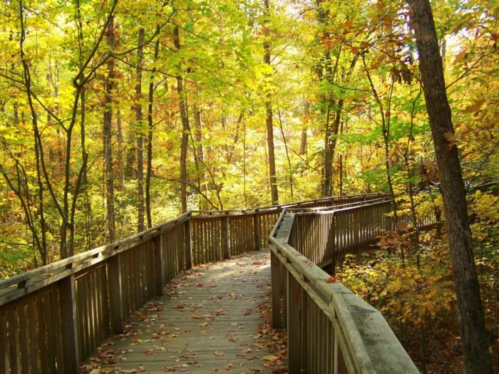 Take A Hike On The Talmadge Butler Boardwalk Trail To Experience Alabama''s Beautiful Fall Colors