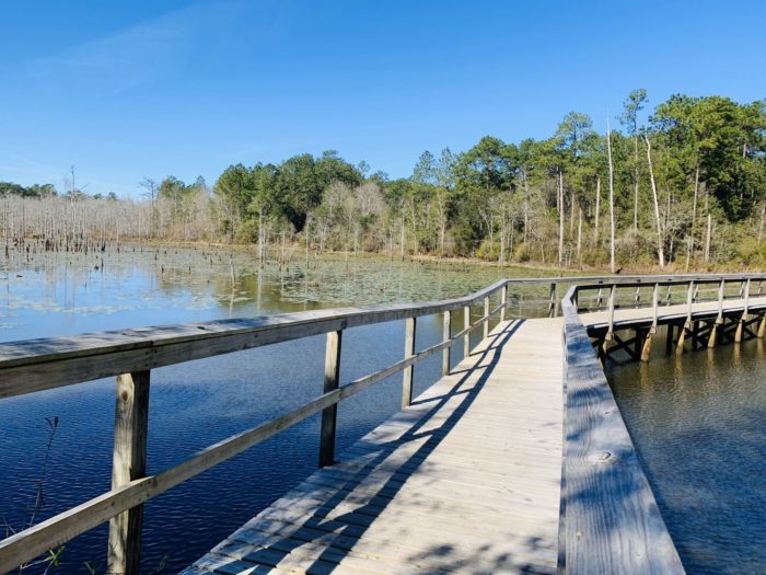 When You Think You''ve Done It All, Try These 9 Hikes In Alabama That Are Local Secrets