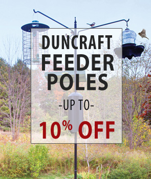up to 10% Off Duncraft Feeder Poles!