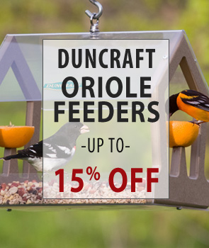 up to 15% Off Duncraft Brand Oriole Feeders!