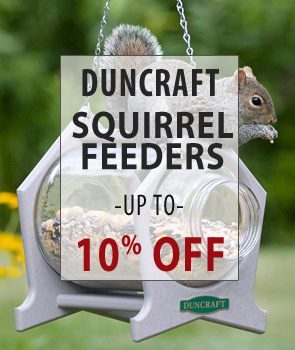 up to 10% Off Duncraft Brand Squirrel Feeders!