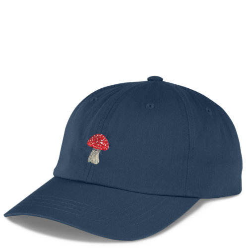 image of trucker hat