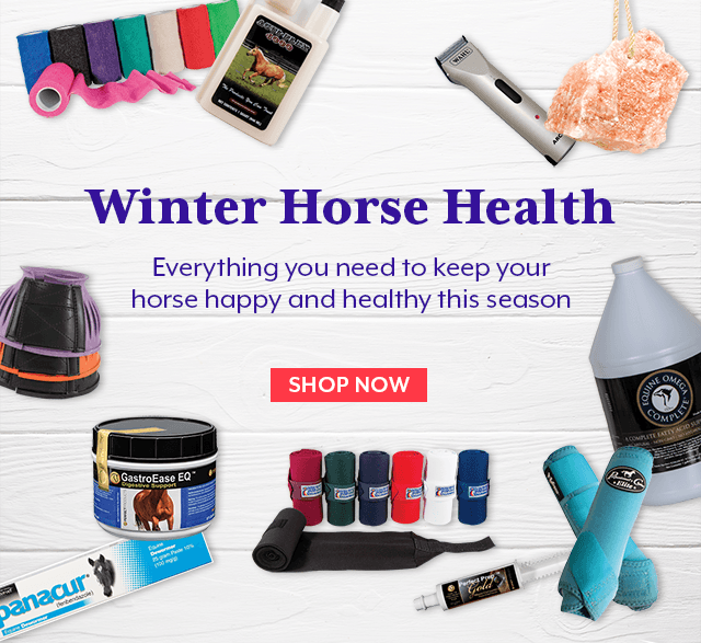 Winter Horse Health: everything you need to keep your horse happy and healthy this season.