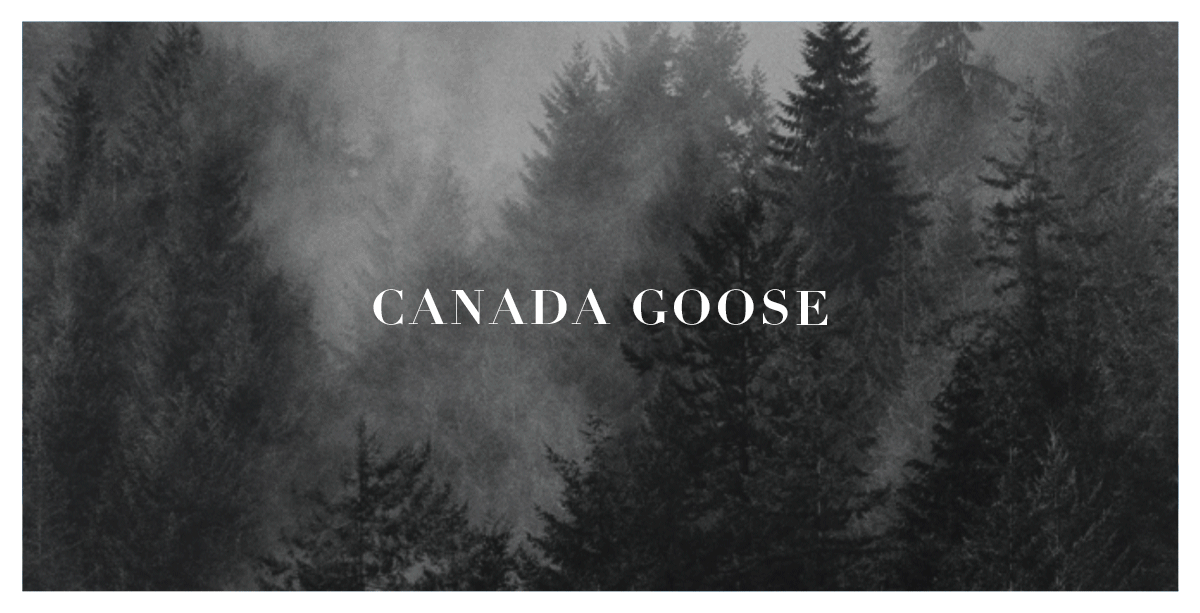 MENS Canada Goose Carson Parka