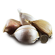 https://www.thegarlicfarm.co.uk/product/elephant-garlic-seed-x-12-cloves?utm_source=Email_Newsletter&utm_medium=Retail&utm_campaign=CV_Jun20_1