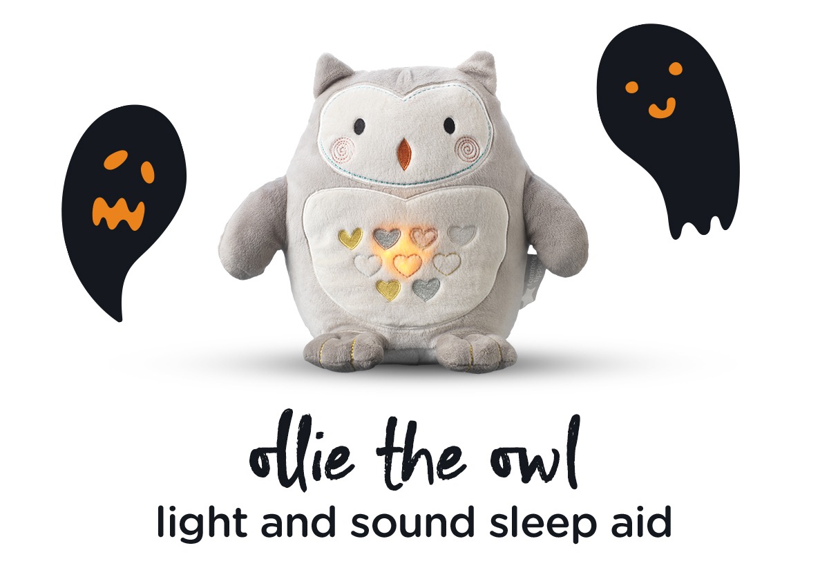 Ollie the owl with ghosts