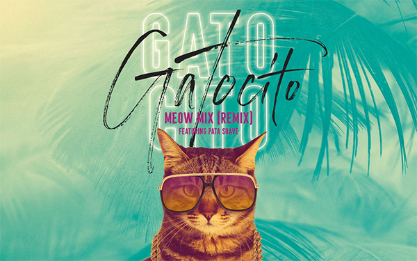 Listen to Gatocito''s playlist on Spotify.