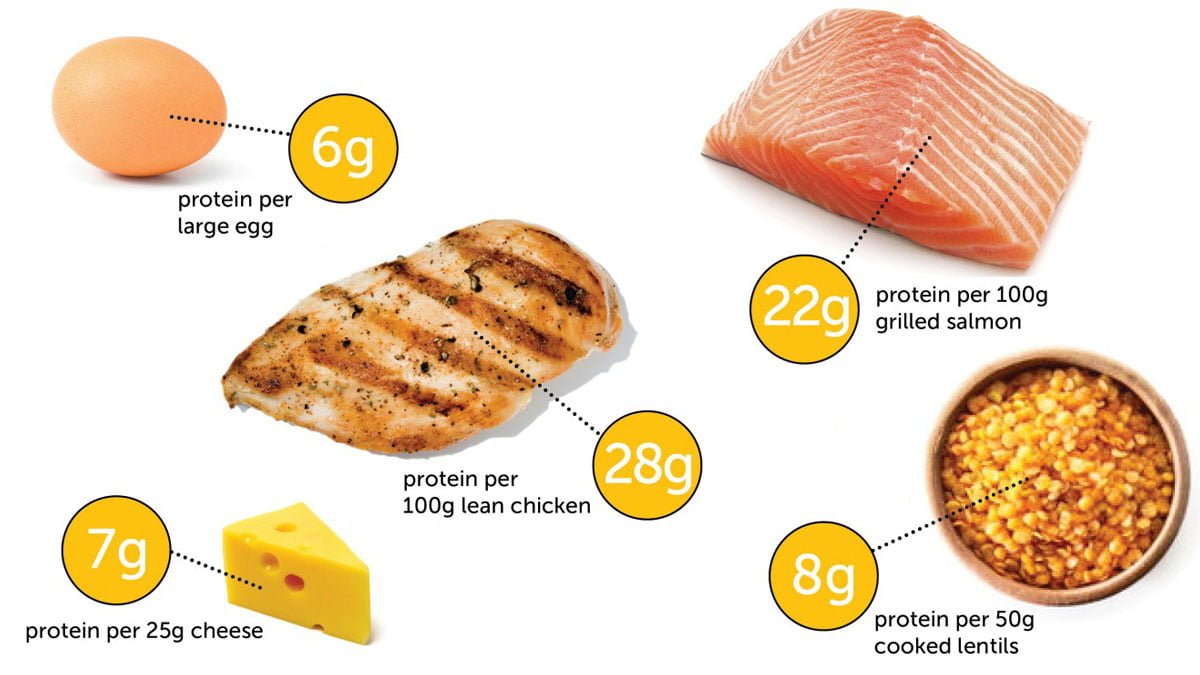 High Protein Meals Help To Reduce Calorie Intake