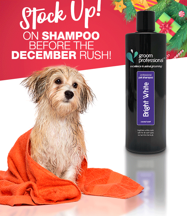 Stock Up On Shampoo Before The December Rush