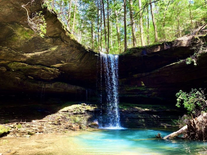 This Easy, 1.5-Mile Trail Leads To Coal Mine Branch Falls, One Of Alabama''s Most Underrated Waterfalls