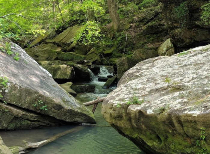 Alabama''s Cane Creek Canyon Nature Preserve Is A Nature Lover''s Dream