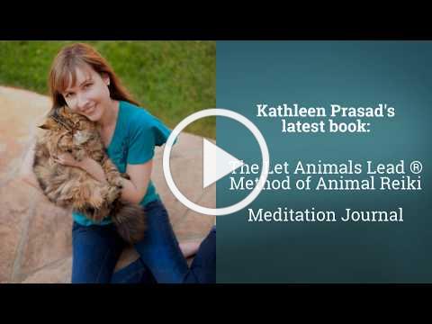 Book Trailer: The Let Animals Lead® Method of Animal Reiki Meditation Journal
