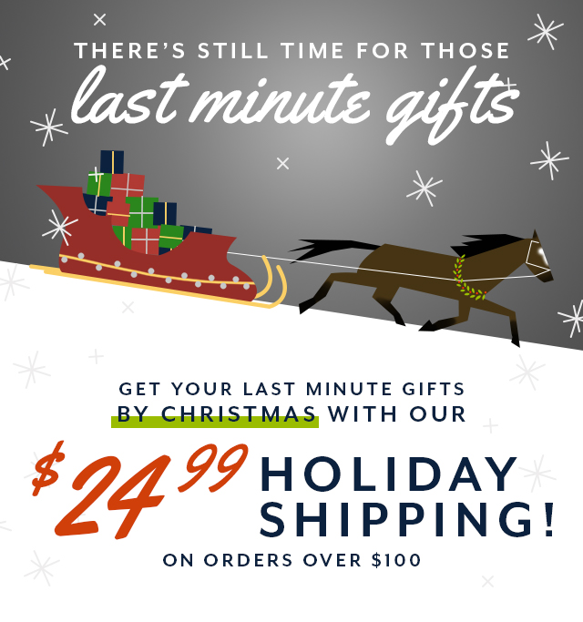 Get you gifts in time for Christmas with our $24.99 Holiday Shipping! Valid on orders over $100.