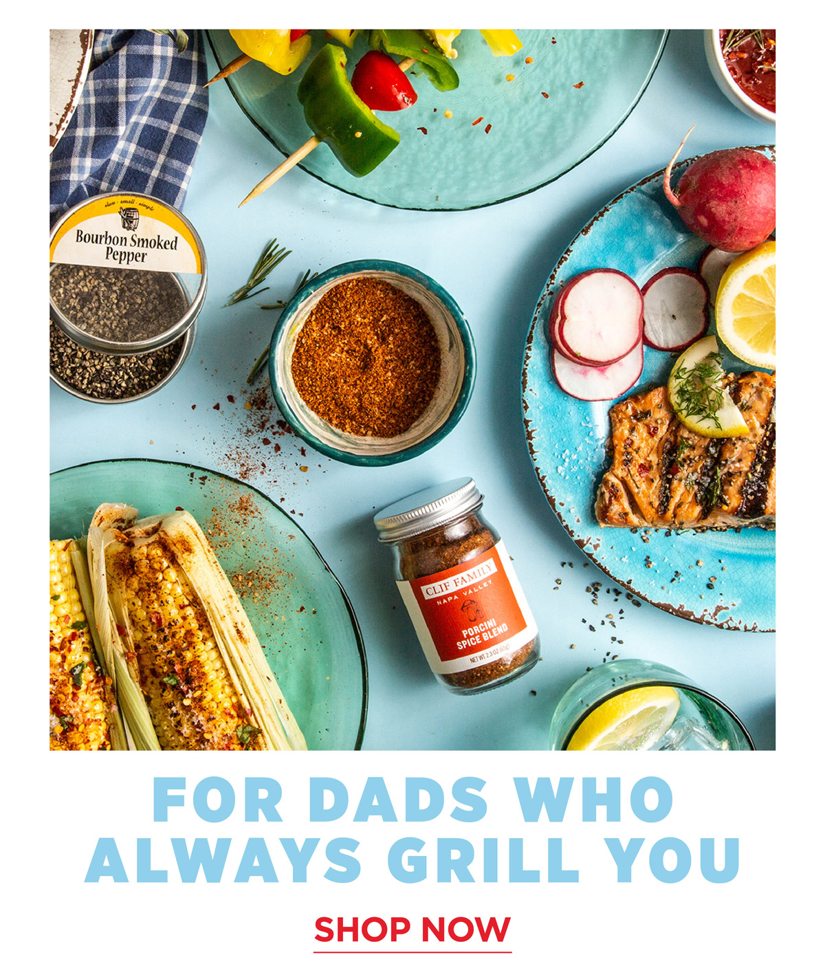 for dads who always grill you