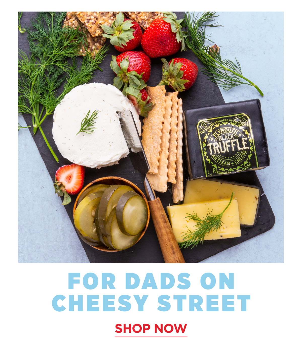 for dads on cheesy street