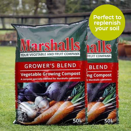 Two bags of Marshalls Vegetable Growers Blend Compost sat on a freshly mown lawn