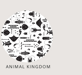 Animal Kingdom >>