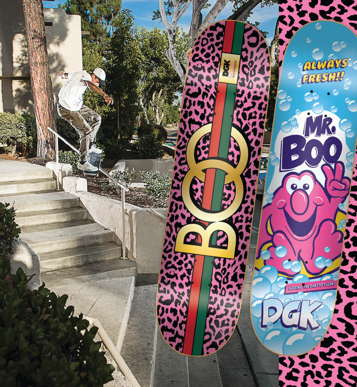 NEW SKATEBOARDS FROM DGK AND MORE - SHOP NEW SKATE