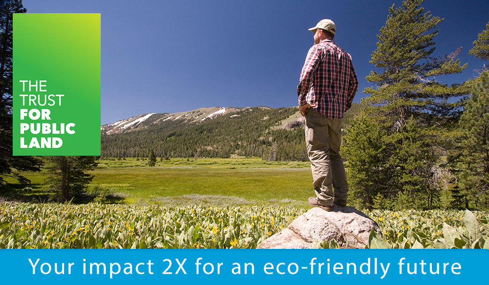 Your impact 2X for an eco-friendly future