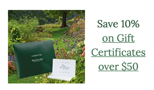 Save 10% on Gift Certificates Over $50