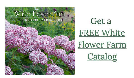 Get a FREE White Flower Farm Catalog