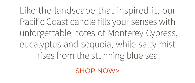 Like the landscape that inspired it, our Pacific Coast candle fills your senses with unforgettable notes of Monterey Cypress, eucalyptus and sequoia, while salty mist rises from the stunning blue sea. Shop now.