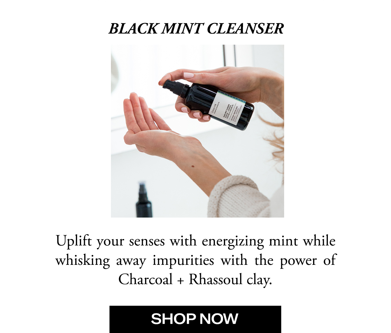 Shop Our Black Mint Cleanser