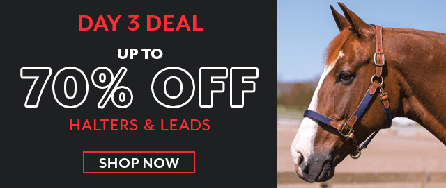 Countdown to Black Friday, Day 3: Halters & Leads