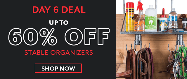 Countdown to Black Friday, Day 6: up to 60% off Stable Organizers