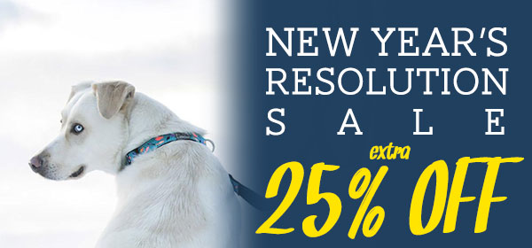 New Year's Resolution Sale