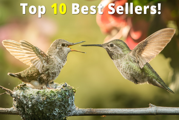 Browse Our Picks for Top 10 Best Sellers!