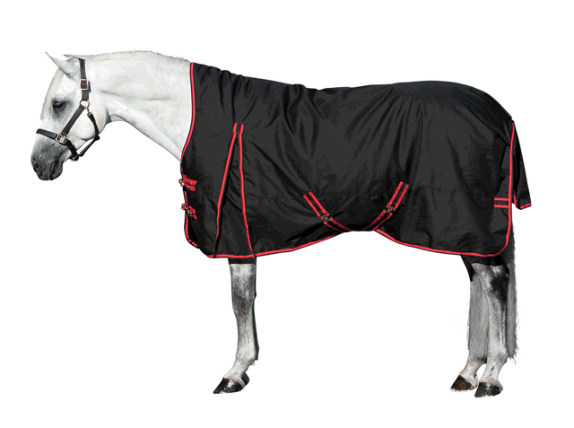 Find a blanket perfect for your horse.