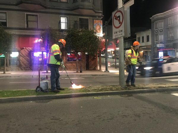 San Francisco city workers rely much less on herbicides than they did just five years ago, as health concerns mount. In February, they used blowtorches to remove grass and weeds from a median on Broadway at Polk Street.