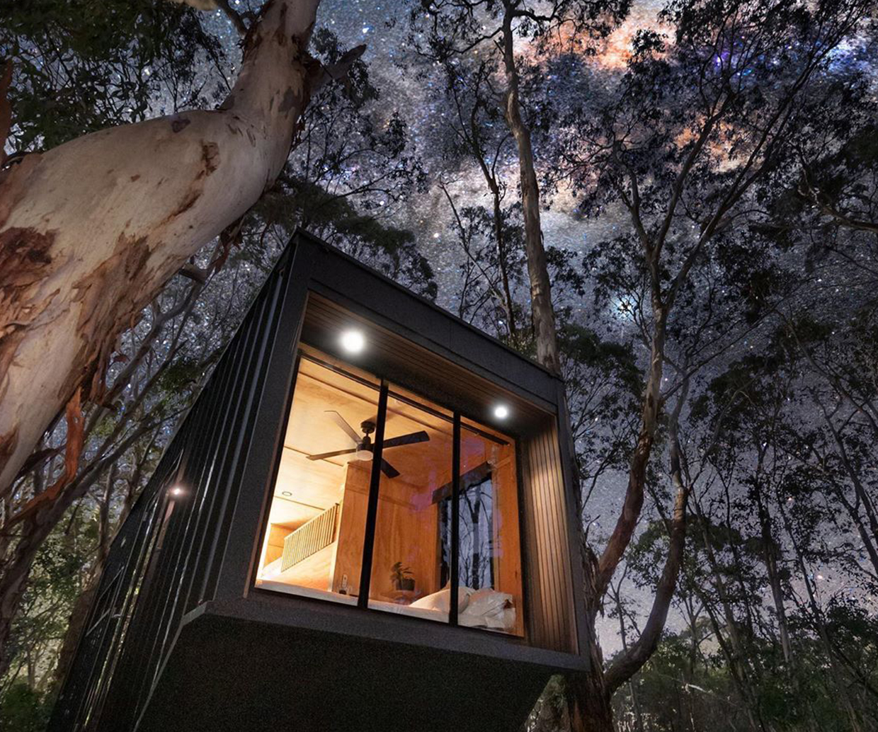a shipping container cabin sits in the middle of the bush at night.