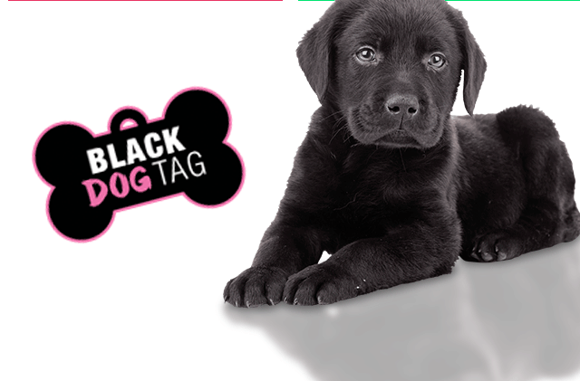 Black Dog Tag Discounts!