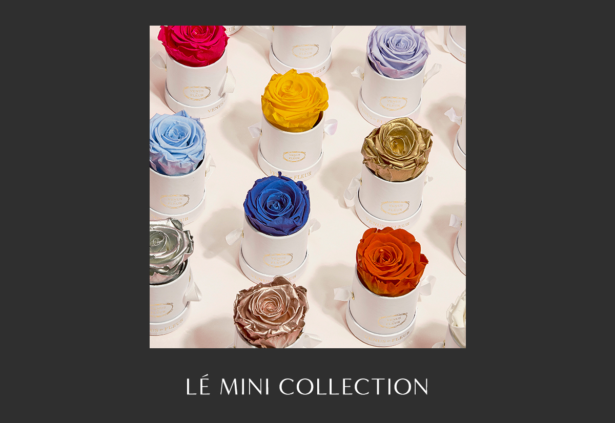 L? MINI Collection